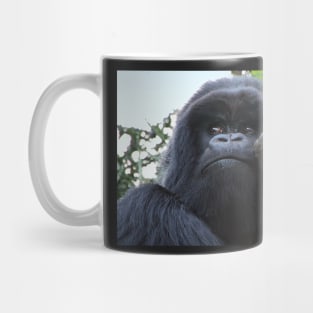 Silverback Gorilla Eating #2, Hirwa Group, Rwanda, East Africa Mug